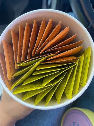 페페로니 맛있는 스틱 - 무항생제 닭고기 15개 + 원양선 참치 15개 — 5점을 준 리뷰어가 2021년 10월 올린 사용 사진