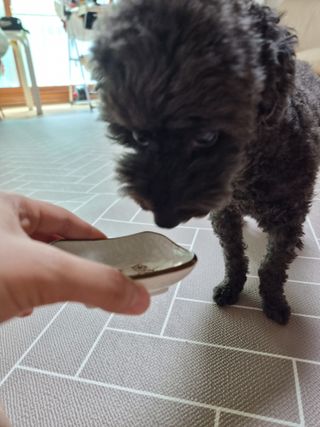 apple님이 올린 리뷰 사진 3