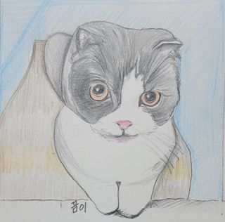 날씬이클디님이 올린 리뷰 사진 2
