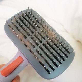 사랑해안시영님이 올린 리뷰 사진 3