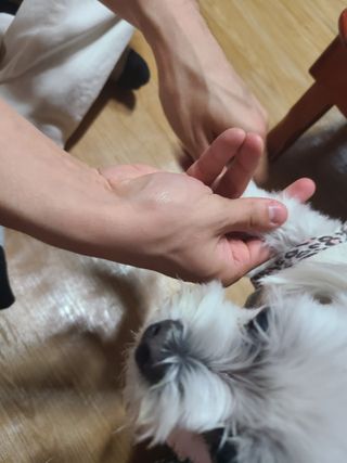 마리아빠님이 올린 리뷰 사진 1