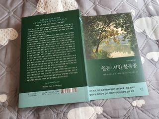불량주부벗어나기님이 올린 리뷰 사진 3