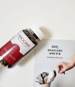 펫21 그로그로 5종 강아지 고양이 반려동물 한방 영양제 — 5점을 준 리뷰어가 2021년 11월 올린 사용 사진