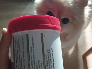 Swisse 스위스 고함량 프로폴리스 2,000mg 210정 — 5점을 준 리뷰어가 2021년 11월 올린 사용 사진