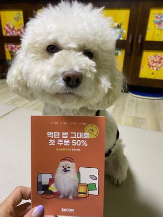 파라오겅쭈님이 올린 리뷰 사진 4
