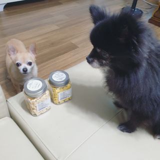 복덩이님이 올린 리뷰 사진 2
