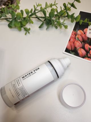 가치 WATERFOX(워터폭스)-엑토인 시카-비옴 하이 워터 크림 (100ml) — 5점을 준 리뷰어가 2023년 3월 올린 사용 사진