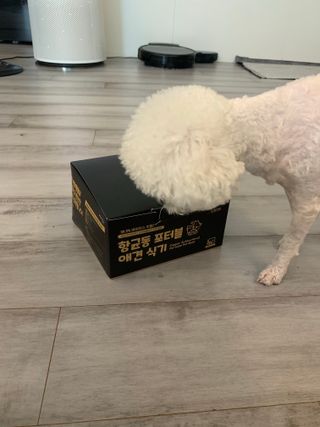 [세싹보울] 세균 싹~ 사라지는 셀앤핏 펫 항균동 애견식기 — 5점을 준 리뷰어가 2021년 6월 올린 사용 사진