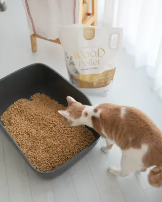 버진플래닛코리아 버진플래닛 고양이 화장실 우드 펠렛 모래 배변 펠릿 — 3점을 준 리뷰어가 2023년 3월 올린 사용 사진
