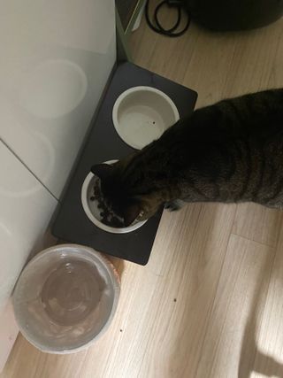 KSJ님이 올린 리뷰 사진 1