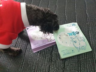 My Pet Care 천연단백질 치아건강에 개좋아 — 5점을 준 리뷰어가 2021년 1월 올린 사용 사진