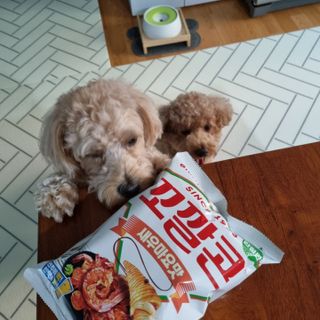 기린짱맘님이 올린 리뷰 사진 4