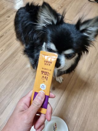 페페로니 맛있는 스틱 - 무항생제 닭고기 15개 + 알래스카 연어 15개 — 5점을 준 리뷰어가 2021년 9월 올린 사용 사진