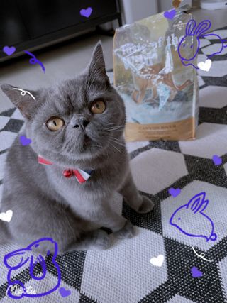 sehee님이 올린 리뷰 사진 3