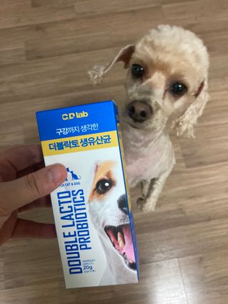 진진이님이 올린 리뷰 사진 3