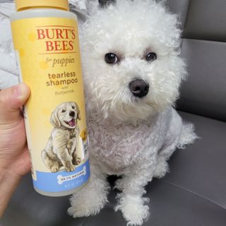 콩떡마미님이 올린 리뷰 사진 2