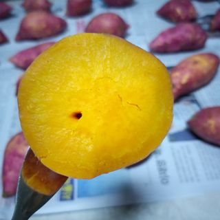 해뜨온 거산 노랑밤고구마 (3,4,5,10 kg) 한입 — 4.5점을 준 리뷰어가 2021년 10월 올린 사용 사진