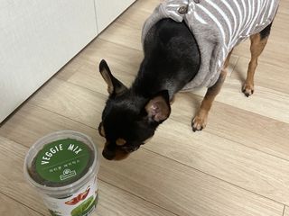 깡지님이 올린 리뷰 사진 2