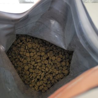 캐닌캐비어 알카라인 홀리스틱 그레이프리 앙뜨레 ALS_4종 오픈스카이, 와일드오션, 프리스피릿, 스페셜니즈 — 5점을 준 리뷰어가 2023년 3월 올린 사용 사진