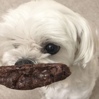 torius님이 올린 리뷰 사진 2