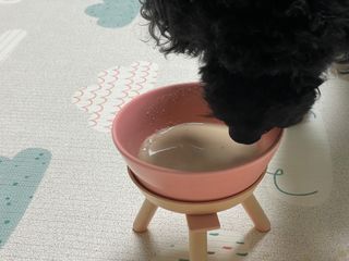 김수연님이 올린 리뷰 사진 2