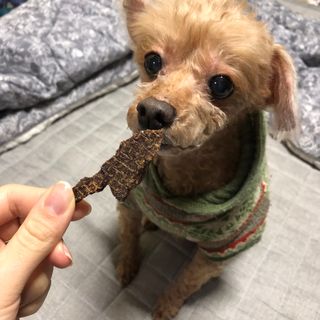 찌니님이 올린 리뷰 사진 2