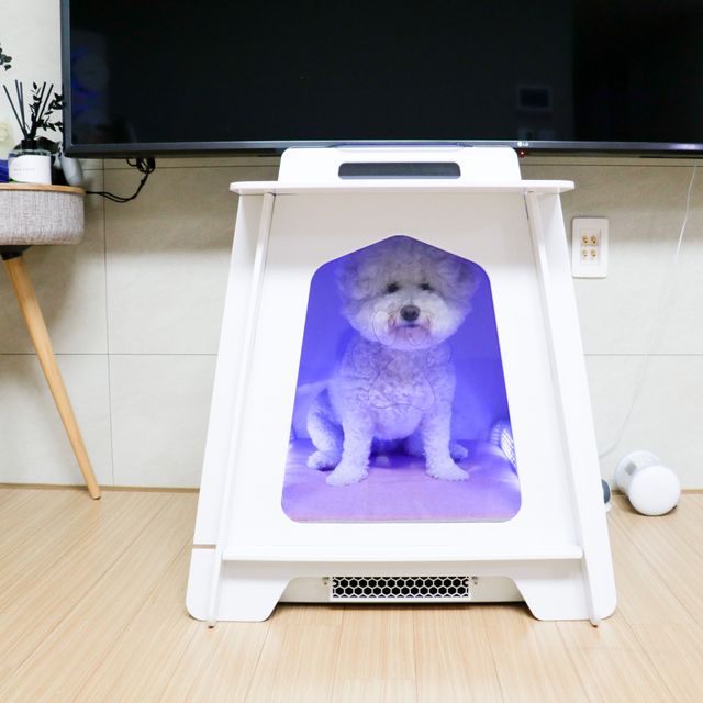 아베크 펫 강아지 고양이 목욕 건조기 드라이기 펫드라이룸 리뷰 사진