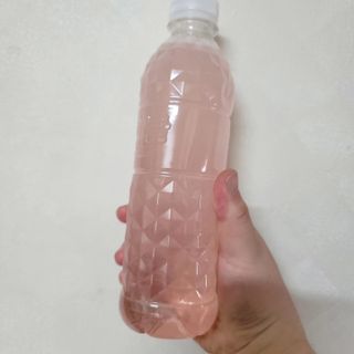 [몽베스트] 위드 더 블랜딩 하우스 콤부차 _ 버라이어티팩II — 5점을 준 리뷰어가 2024년 4월 올린 사용 사진