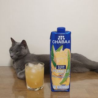 미애님이 올린 리뷰 사진 2