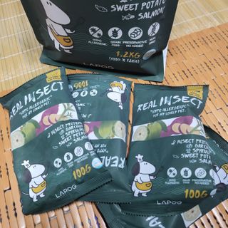 [푸디웜] 라포그  리얼인섹트 웨이트밸런스 저알러지 강아지 사료  1.2KG — 5점을 준 리뷰어가 2022년 7월 올린 사용 사진
