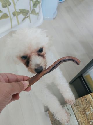 햇님달님님이 올린 리뷰 사진 1