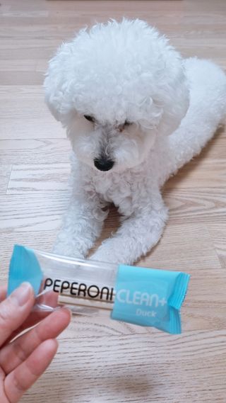 페페로니 클린플러스 덴탈오리껌 10g x 14p — 5점을 준 리뷰어가 2021년 7월 올린 사용 사진