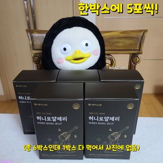 그므시라꼬님님이 올린 리뷰 사진 2