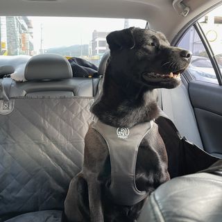 꿈틀이님이 올린 리뷰 사진 2