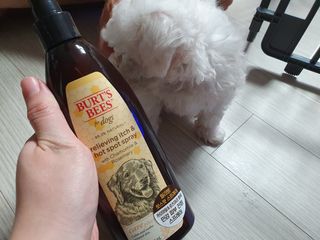 엘쏘둥님이 올린 리뷰 사진 2