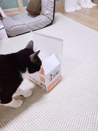 심정님이 올린 리뷰 사진 2