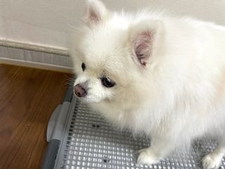 두아들맘님이 올린 리뷰 사진 2