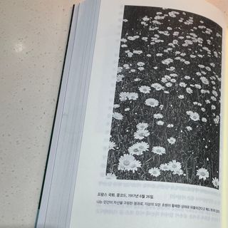 소으히님이 올린 리뷰 사진 3