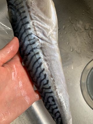 화요일님이 올린 리뷰 사진 3