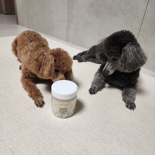 산이네ෆ˙ ᵕ ˙ෆ님이 올린 리뷰 사진 4