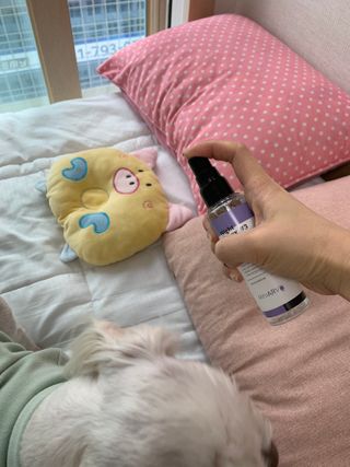 챔미님이 올린 리뷰 사진 4