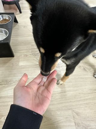 김찡끗님이 올린 리뷰 사진 3