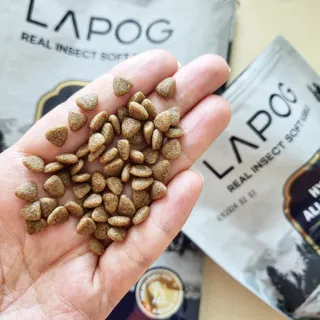 [푸디웜] 라포그 리얼인섹트 소프트키블 스킨 1KG — 5점을 준 리뷰어가 2022년 9월 올린 사용 사진
