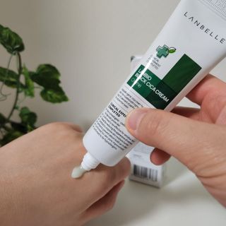 랑벨 랑바이오 블랙 시카 크림 50ml(블랙비 프로폴리스, 시카 4종, 판테놀 10 함유) — 5점을 준 리뷰어가 2022년 4월 올린 사용 사진