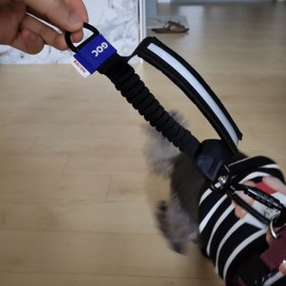 미니유님이 올린 리뷰 사진 1
