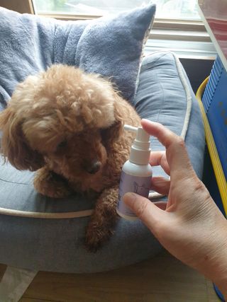 밍카님이 올린 리뷰 사진 3