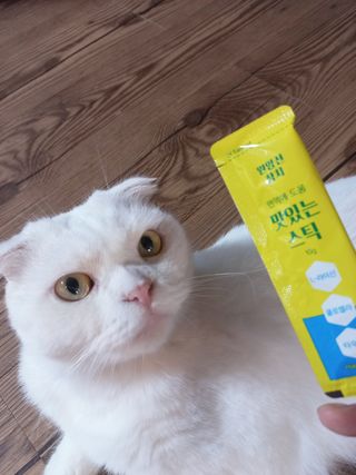 페페로니 맛있는 스틱 - 무항생제 닭고기 15개 + 원양선 참치 15개 — 5점을 준 리뷰어가 2021년 8월 올린 사용 사진