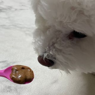 두또먹님이 올린 리뷰 사진 3