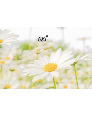 0.8L 마케팅팀 - — 4.5점을 준 리뷰어가 2021년 5월 올린 사용 사진
