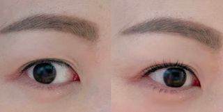 더소설 소설 블랙아이래쉬 세럼 10g(SOSEOL BLACK EYELASH SERUM 10g) — 4점을 준 리뷰어가 2023년 6월 올린 사용 사진